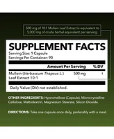 Mullein Leaf Extract Capsules, Lung & Respiratory Health, Daily Respiratory Health Supplement, Lung Support, Havasu Nutrition, 90ct