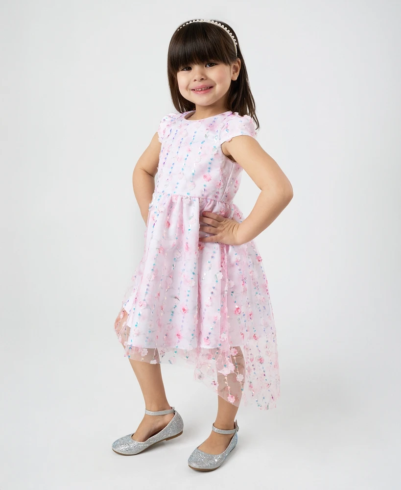 Rare Editions Toddler and Little Girls Floral Mesh with Embroidered Sequin Social Dress