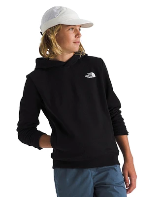 The North Face Big Boys Teen Landscape Pullover Hoodie