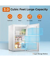 Kismile Upright Freezer,3.0 Cu.ft Mini Freezer with Reversible Single Door,Removable Shelves,Small Freezer with Adjustable Thermostat for Home/Kitchen