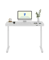 Flexispot EG9W-e, Electric Height Adjustable Glass Top Standing Desk, Black