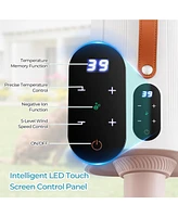 Dog Cat Hair Blower with Negative Ion Function and Adjustable Temperature