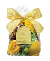 Aromatique Sorbet Standard Decorative Fragrance Bag