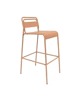 Carmella Outdoor BarStool(Set of 2)