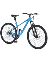 29 Inch Wheels Single Speed Mountain Bike, for Men Women Boys and Girls, Front Suspension, Steel Frame