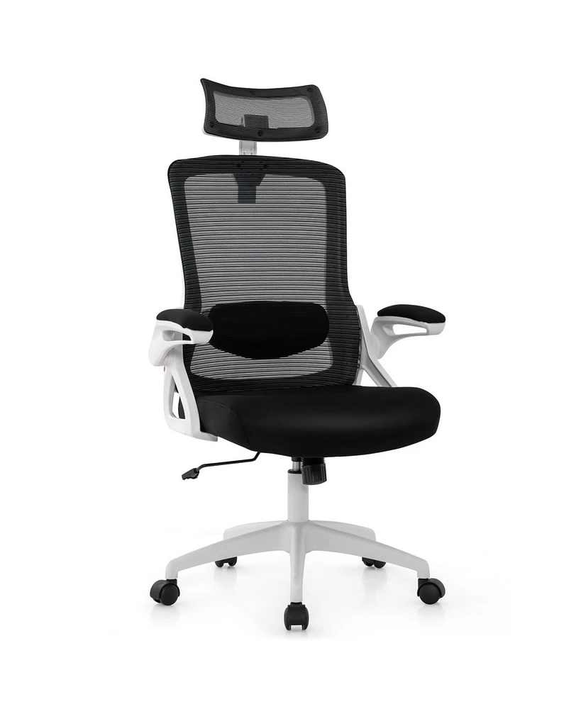 Adjustable Swivel Task Chair Ergonomic Office Chair with Adjustable Lumbar Support