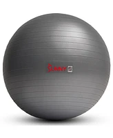 Sunny Health & Fitness Premium Yoga Ball Large 65CM Anti-Burst Exercise Ball for Workouts, Pregnancy, Physical Therapy, Stability Ball Chair Fitness,