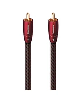 AudioQuest Cinnamon Coaxial Digital Audio Cable