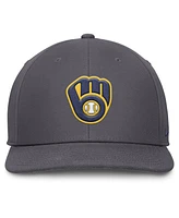 Nike Men's Gray Milwaukee Brewers Pro Performance Snapback Hat