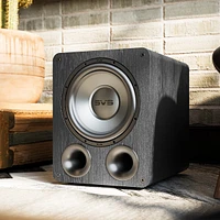 Svs Pb-1000 Pro Ported Subwoofer (Premium Black Ash)