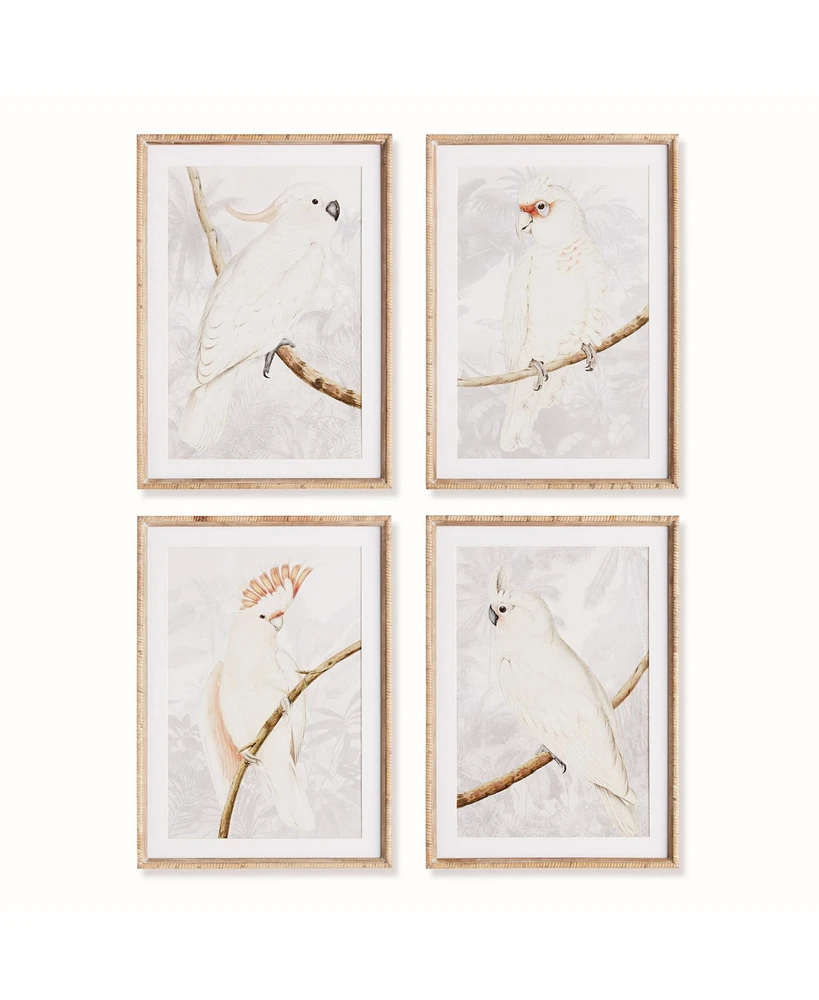 19.5"W x 1"D x 27.5"H White Cockatoo Prints Framed Wall Art Set of 4