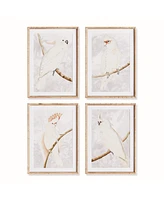 19.5"W x 1"D x 27.5"H White Cockatoo Prints Framed Wall Art Set of 4