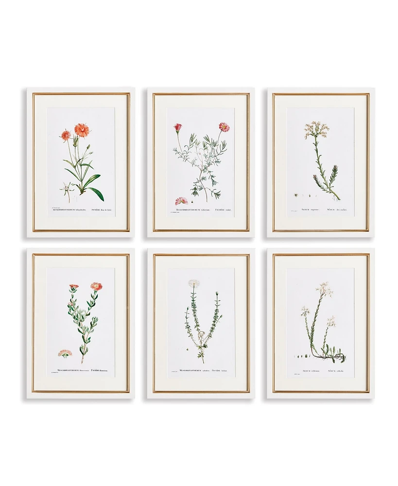 15.75"W x 0.75"D x 21.5"H Flower Studies In Shades Of Blush Framed Wall Art Set of 6