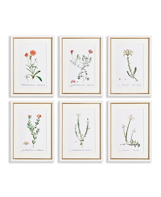 15.75"W x 0.75"D x 21.5"H Flower Studies In Shades Of Blush Framed Wall Art Set of 6