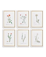 15.75"W x 0.75"D x 21.5"H Flower Studies In Shades Of Blush Framed Wall Art Set of 6