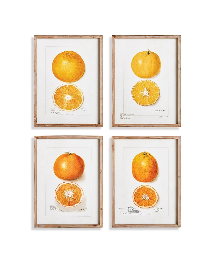 17.75"W x 1"D x 23.5"H Citrus Study Framed Wall Art Set of 4
