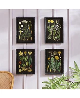 Golden Botanical Study, Set Of 4
