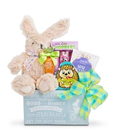 Alder Creek Gift Baskets Eggstravagent Easter Crate Blue, 9 Pieces