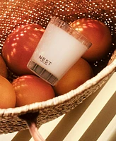 Nest New York Grapefruit Classic Candle, 8.1 oz.