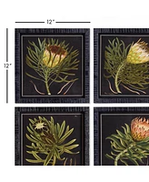 Protea Petite Prints, Set Of 4