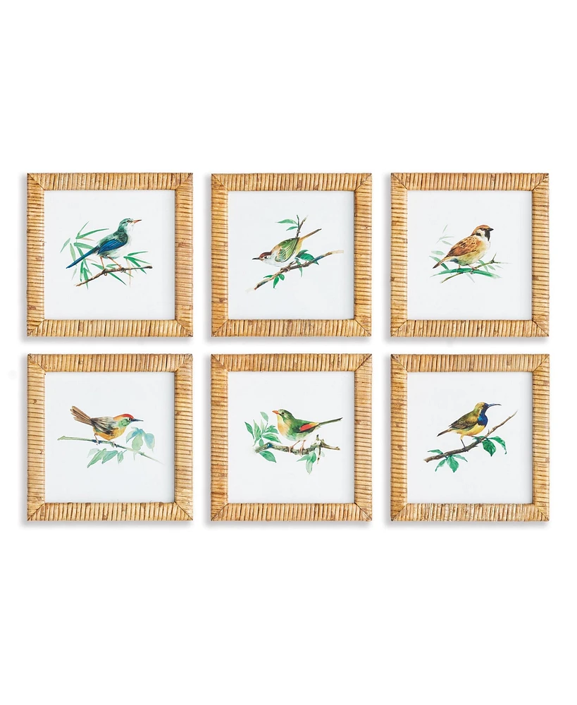 Songbird Petite Prints St/6