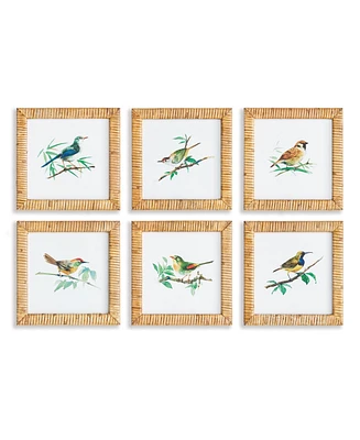 Songbird Petite Prints St/6