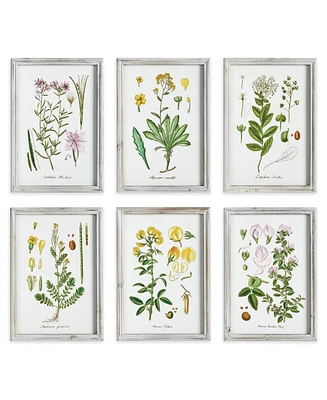 Perennial Botanical Study, Set Of 6 Wall Art