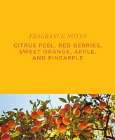 Aromatique Valencia Standard Decorative Fragrance Bag