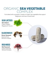 Plant Magnesium: Organic, Whole Food Magnesium Supplement