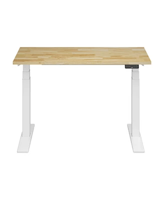 Flexispot E7-commercial 48 W Electric Adjustable Standing Desk, Rubber Wood Top, White Base