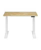Flexispot E7-commercial 48 W Electric Adjustable Standing Desk, Rubber Wood Top, White Base