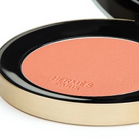 Rose Hermes Silky Blush Powder
