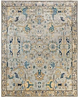 Adorn Hand Woven Rugs Serapi M1945 8'1''x10' Area Rug