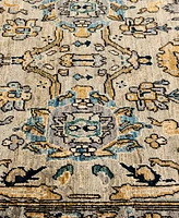 Adorn Hand Woven Rugs Serapi M1945 3'11''x5'10'' Area Rug