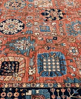 Adorn Hand Woven Rugs Serapi M1945 8'9''x12' Area Rug
