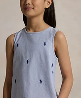 Polo Ralph Lauren Big Girls Pony Oxford Dress