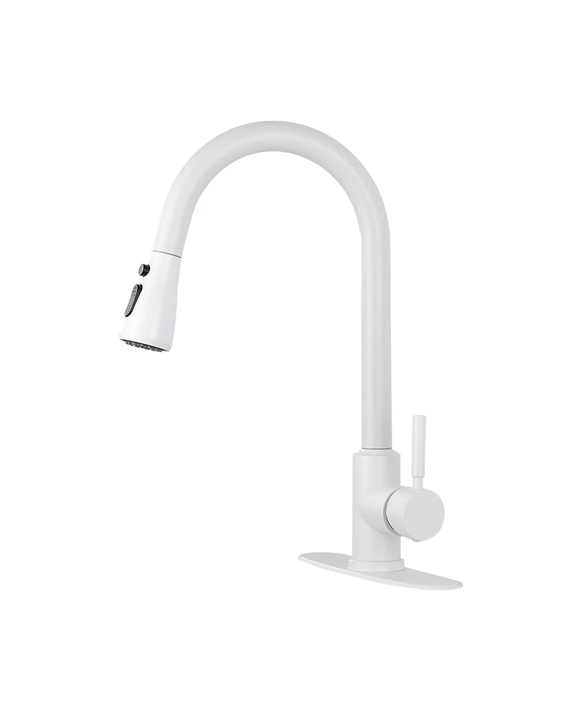 Kitchen Faucet with Pull Out Spraye