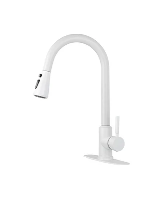 Kitchen Faucet with Pull Out Spraye