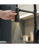 Single Handle Pull-Down Sprayer 3 Spray High Arc Pull Down Sprayer Kitchen Faucet