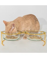 Elevated Glass Cat Bowl Stand Set