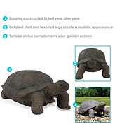 Poly-Concrete Tortoise Garden Statue - Indoor or Outdoor Use - Todd - 30" W