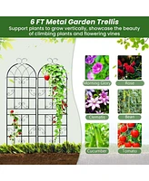 Outdoor Garden Trellis for Climbing Plants and Vines Support (Set of 2)