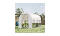 Walk-In Greenhouse for Gardening – Large Outdoor Plant Growing Space