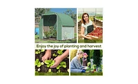 Garden Greenhouse – Durable Outdoor Structure for Healthy Plant Growth