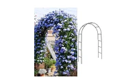 Elegant Garden Arch Trellis for Climbing Plants and Outdoor Decor