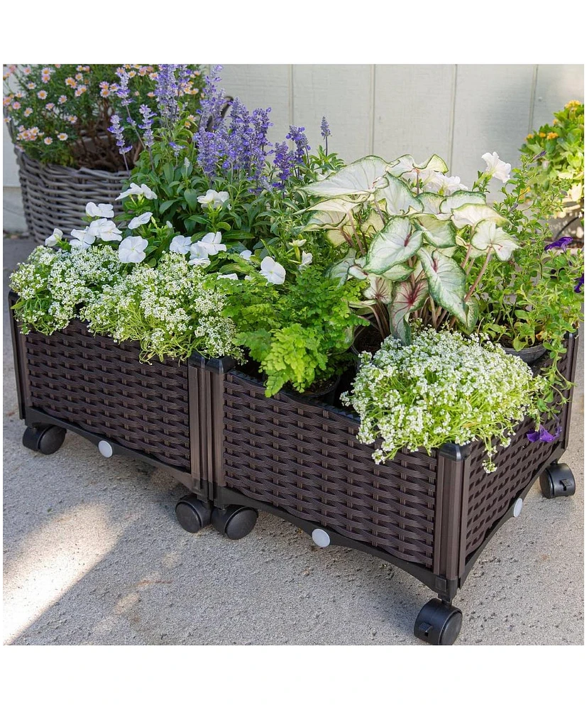 Modern 2-Piece Raised Garden Planter Box on Wheels for Indoor and Outdoor Use