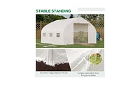 Walk-In Greenhouse for Garden-Spacious Outdoor Plant Growing Shed