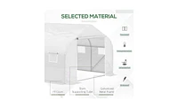 Outdoor Walk-In Tunnel Greenhouse Durable Gardening Shelter for Plants, Vegetables, and Flowers