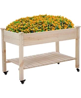 2ft x 4ft Outdoor Solid Fir Wood Raised Garden Bed Planter Box on Locking Wheels
