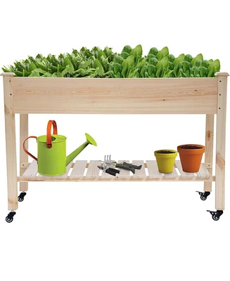 2ft x 4ft Outdoor Solid Fir Wood Raised Garden Bed Planter Box on Locking Wheels